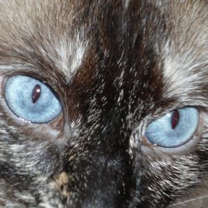 Meet your Posher, Suzanne